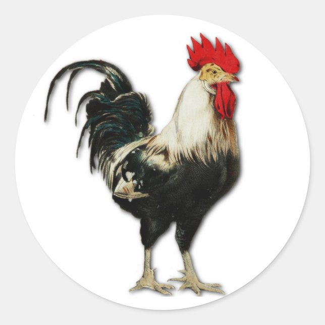Red Rooster Chicken Customize Classic Round Sticker (Front)