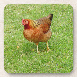 Red Rooster Coaster