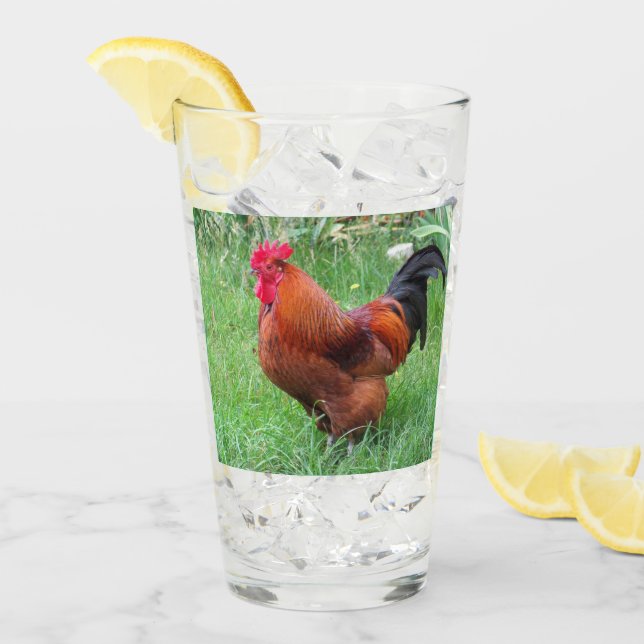 Red Rooster Drinking Glass Collectors  (Front Ice)
