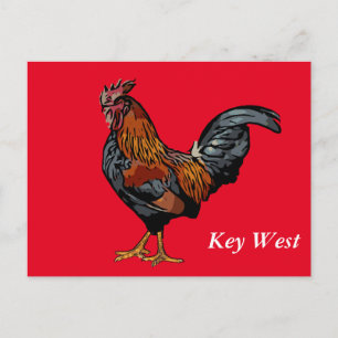 Red Rooster Key West Post Card