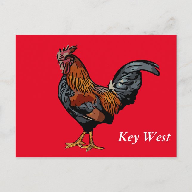 Red Rooster Key West Post Card (Front)
