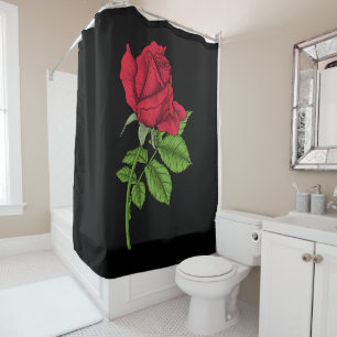 Red rose
