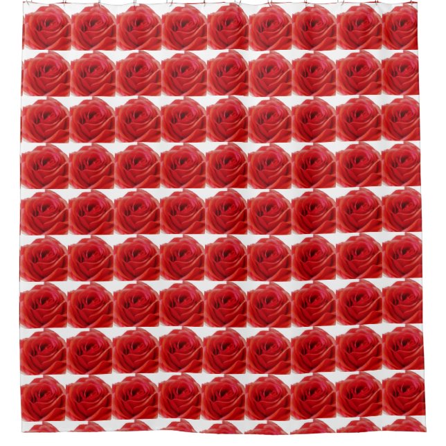 Red Rose (Front)