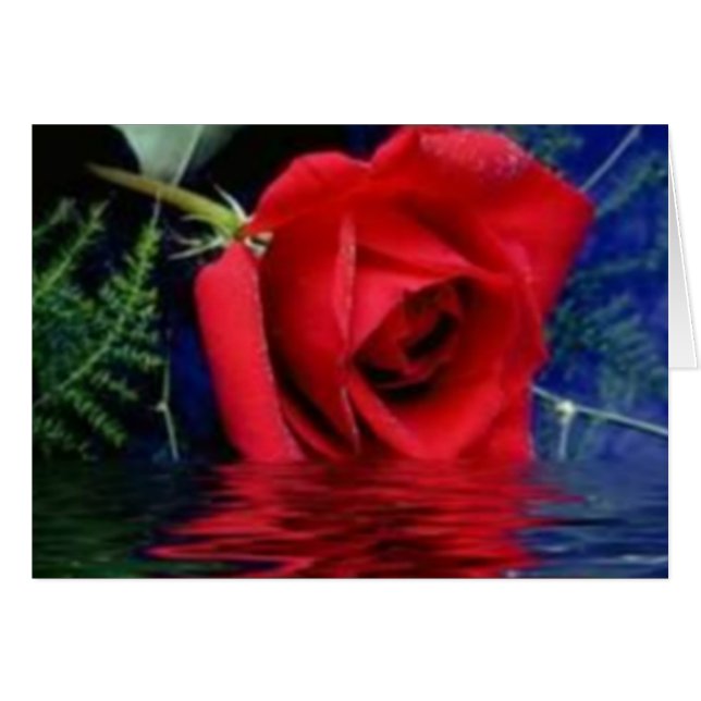 Red Rose (Front Horizontal)