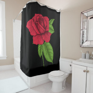 Red rose 2