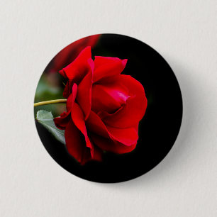 Red rose 2 inch round button