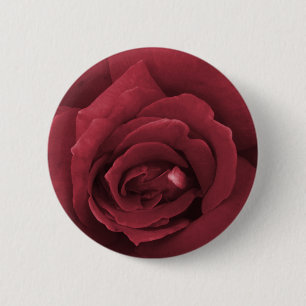 red rose 2 inch round button