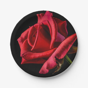 Red Rose Against Black Background Paper Plate