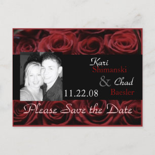 Red Rose Announcement Postcard