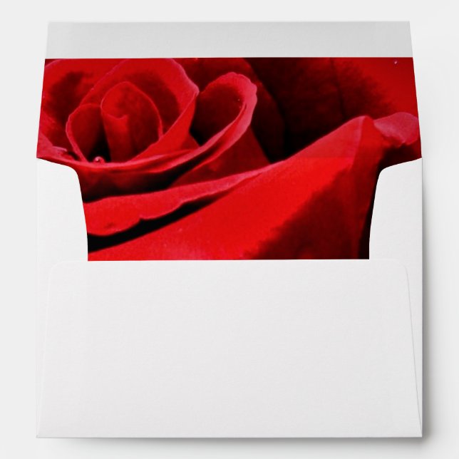 Red Rose Beautiful Flower Envelopes (Back (Bottom))