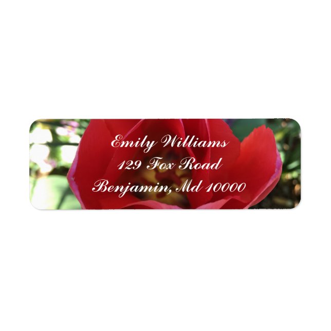 Red rose beauty (Front)
