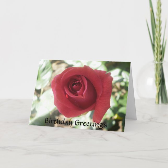 Red Rose Birthday Card (Front)