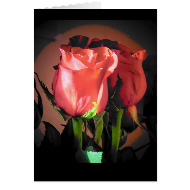 Red Rose Black Back Ground Your Text (Front)