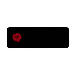 Red Rose. Black Background.