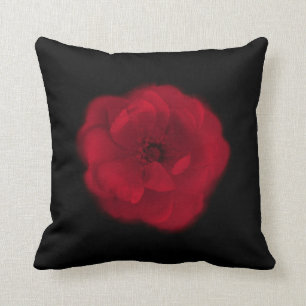 Red Rose. Black Background. Throw Pillow