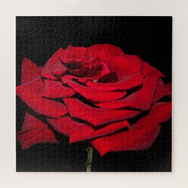 Red Rose - Black Jigsaw Puzzle (Horizontal)