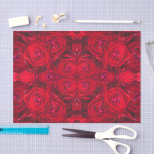 Red rose blossoms with dewdrops - photography tissue paper