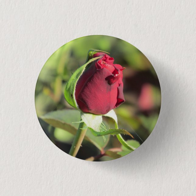 Red Rose Bud 1 Inch Round Button (Front)