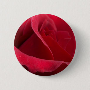Red Rose Buttons