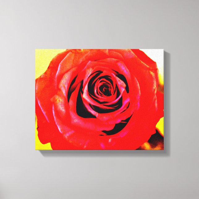 Red Rose Canvas Print (Front)