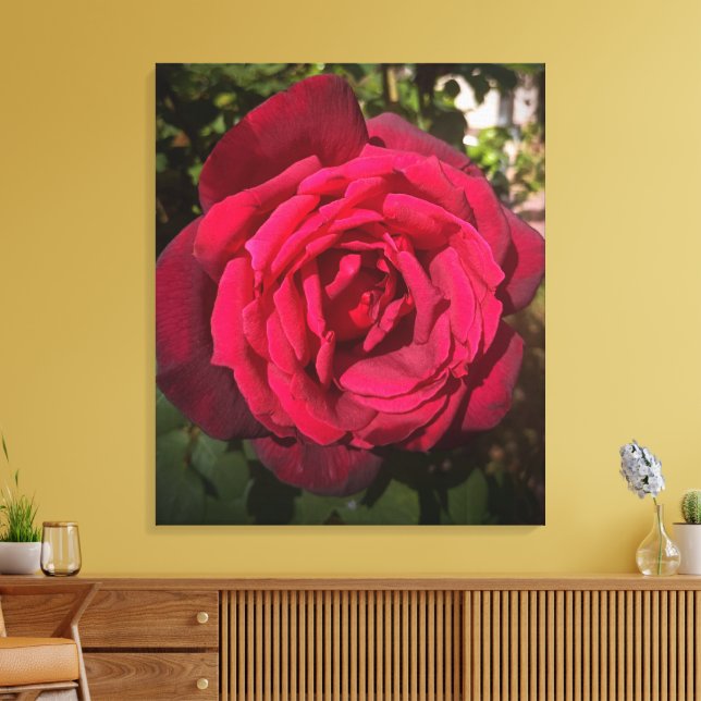 Red Rose Canvas Print (Insitu(LivingRoom))