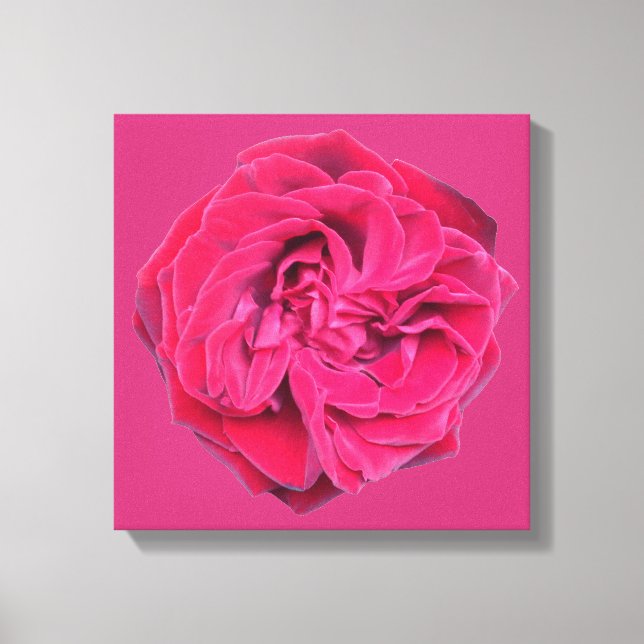 Red Rose Canvas Print (Front)