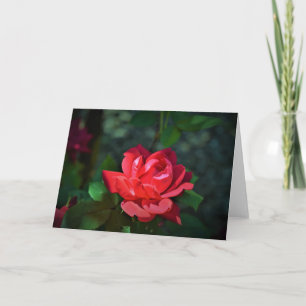 Red Rose, card