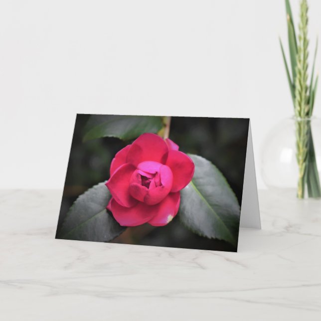 Red Rose, card (Front)