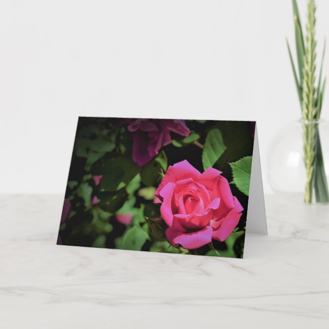Red Rose, card (Front)
