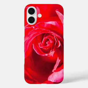 Red rose iPhone 16 plus case