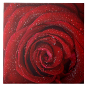 Red Rose Ceramic Tile