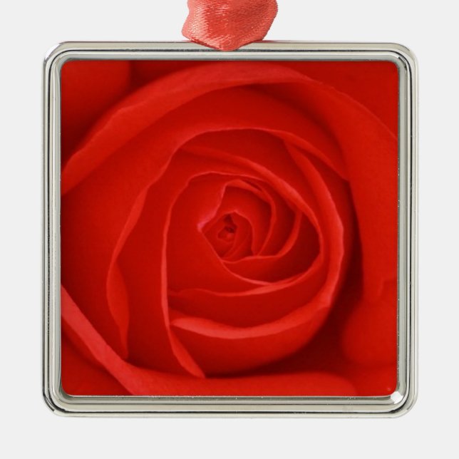 Red  Rose Christmas Ornament (Front)