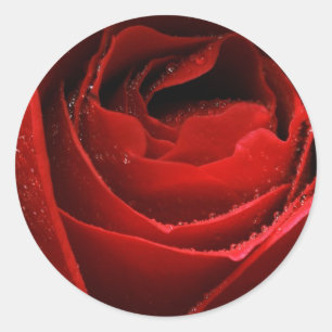 Red Rose Classic Round Sticker