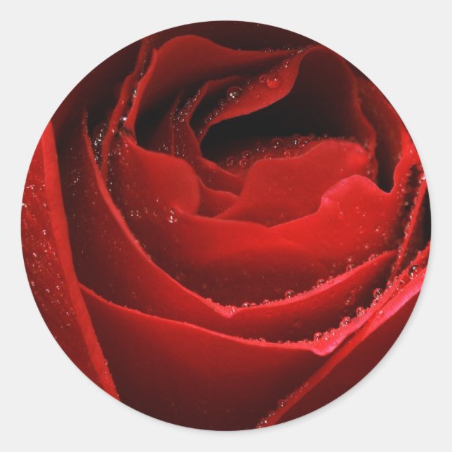 Red Rose Classic Round Sticker (Front)