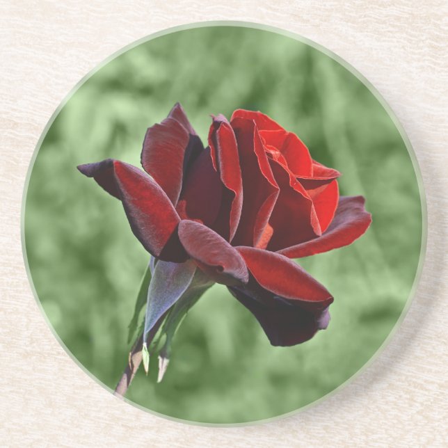Red Rose Coaster (Front)