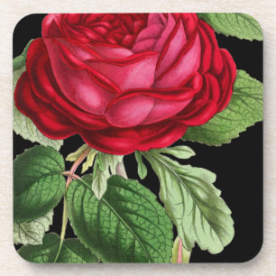 Red rose coaster