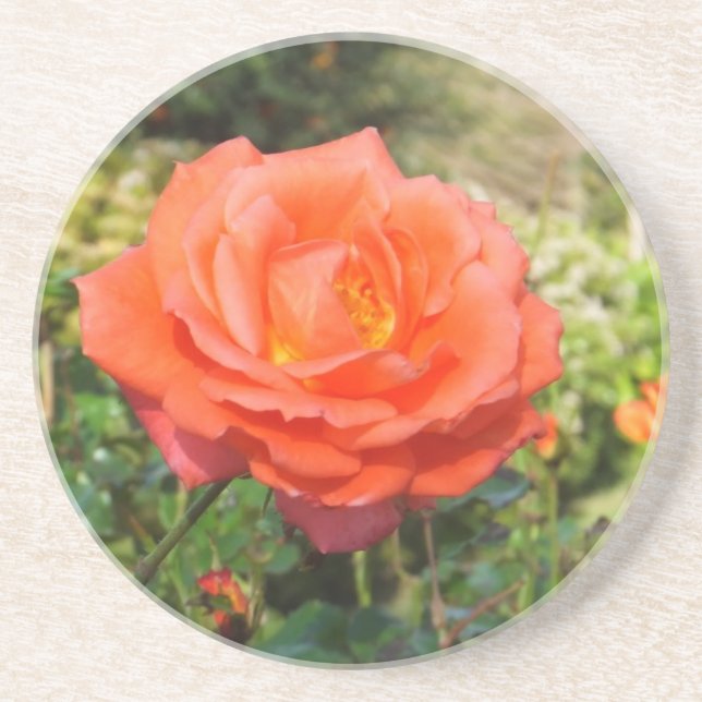 Red Rose coaster (Front)
