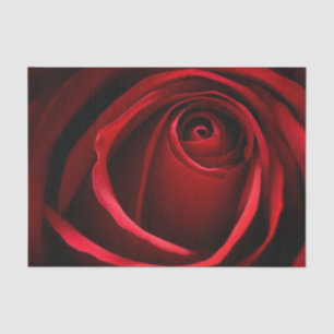 Red Rose Custom 10lb Tissue Paper