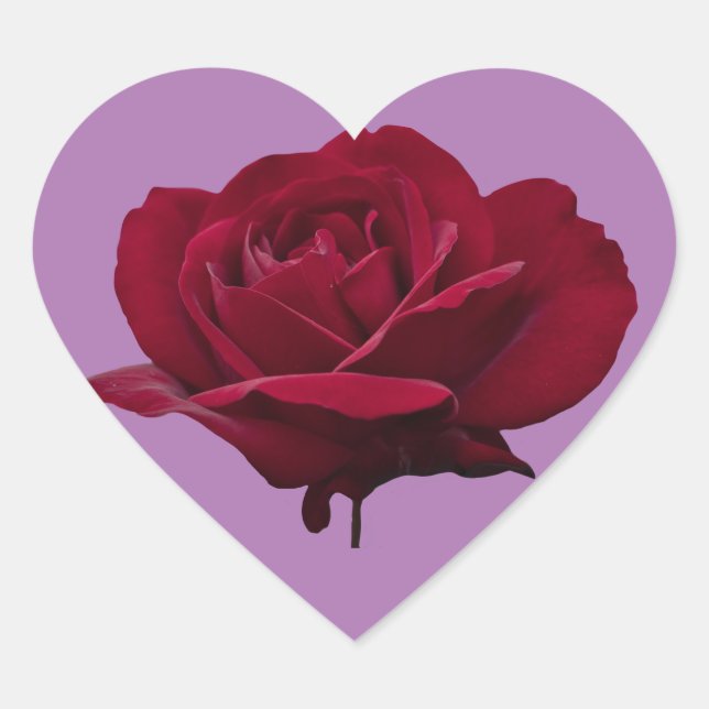 Red Rose Cute Heart Sticker (Front)