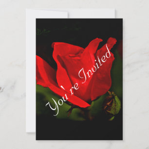 Red Rose_Dark Passion_Invitation_You're Invited Invitation