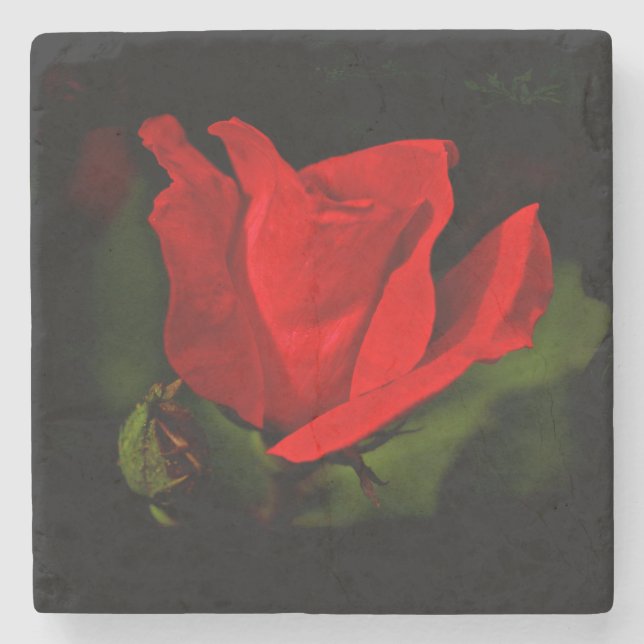 Red Rose - Dark Passion Stone Coaster (Front)