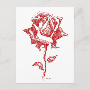 Red Rose Designs Postcard