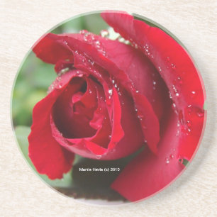 Red Rose Dew - Coaster