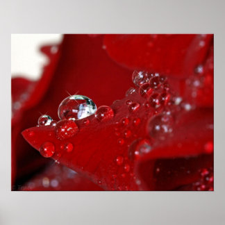 Red Rose Diamonds Poster