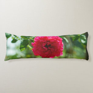 Red rose flower body pillow