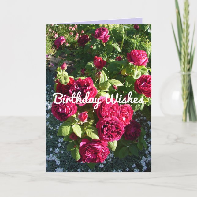 Red Rose Flower Floral Vintage Roses Card (Front)