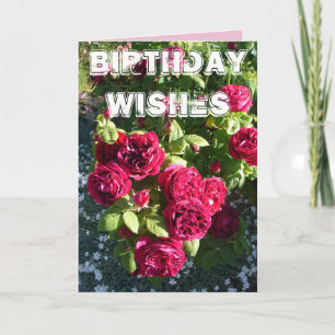 Red Rose Flower Garden floral  Happy Birthday Card