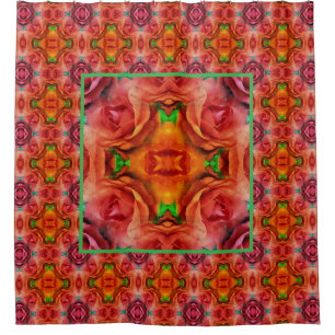 Red Rose Flower Nature Abstract 