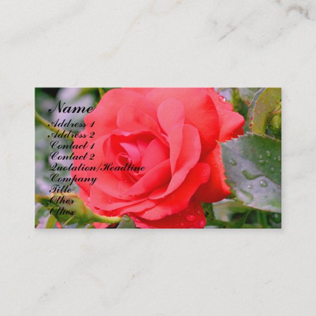 Red Rose Flower Nature Profile Business Card (Front)