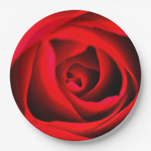 Red rose flower Paper plate